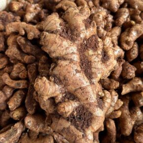 Ginger
