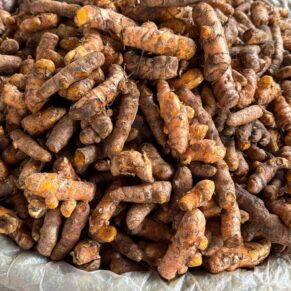 Turmeric