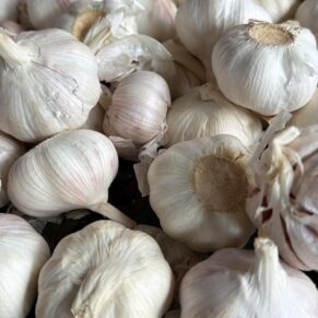 Garlic - Kitunguu Saumu