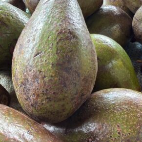 Avocados